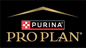 Pro Plan